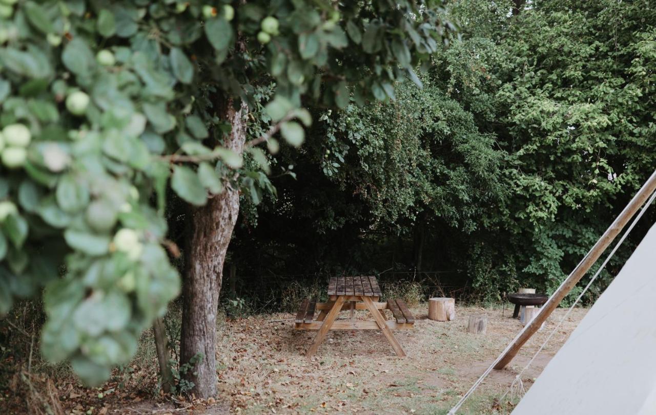 Luxury tent White House On Wye Glamping